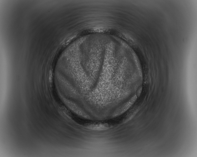 X0000085260646200703301833