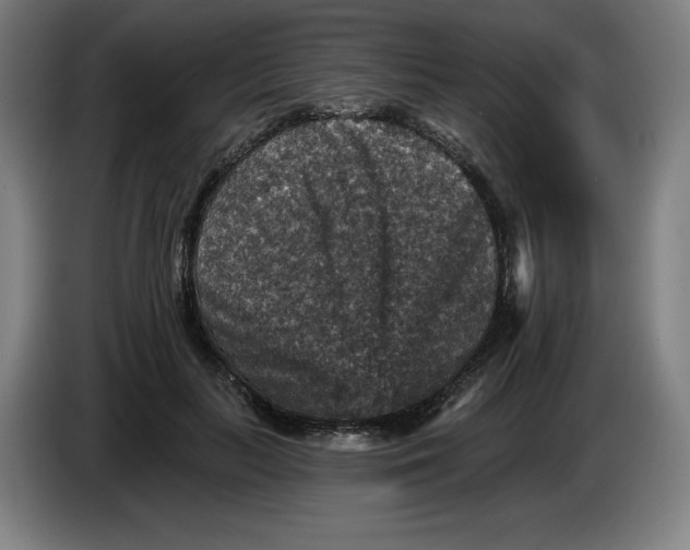 X0000085260647200703301833