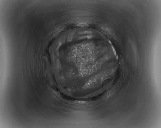 X0000085260649200703301833