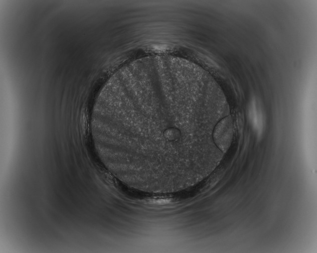 X0000085260651200703301833