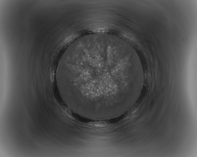 X0000085260652200703301833