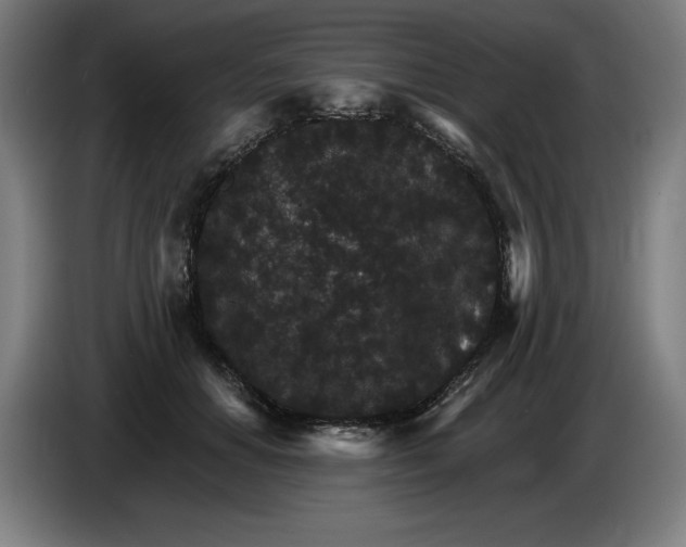 X0000085260654200703301833