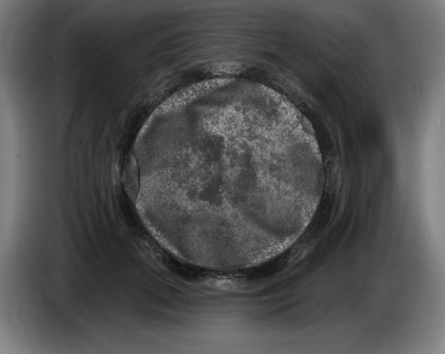 X0000085260655200703301833