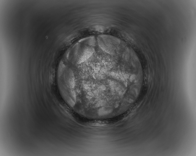 X0000085260656200703301833