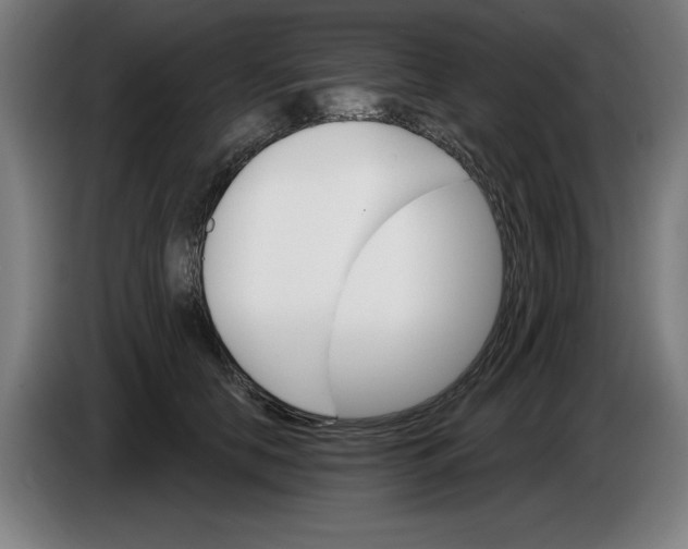 X0000085260658200703301834