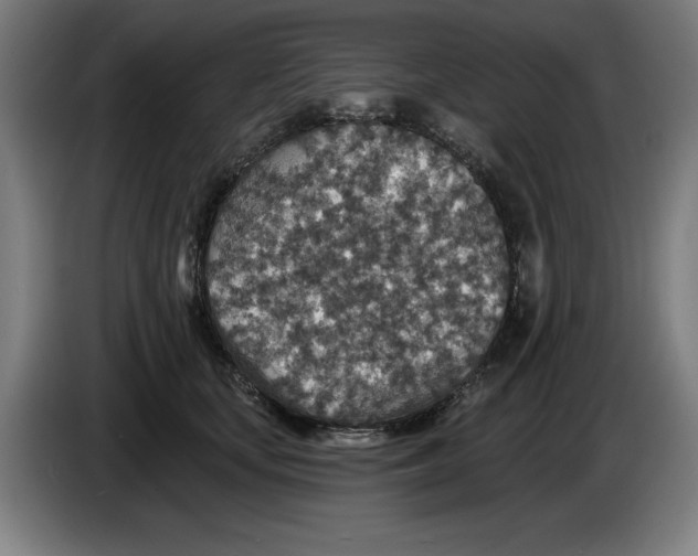 X0000085260659200703301834