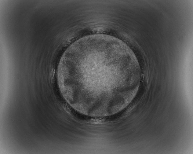 X0000085260660200703301834