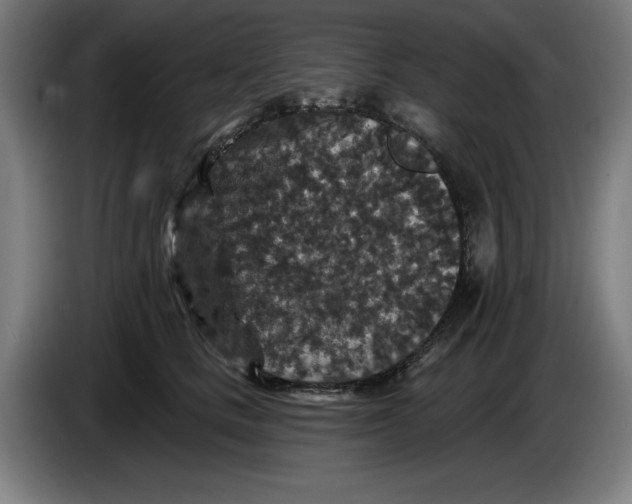 X0000085260661200703301834