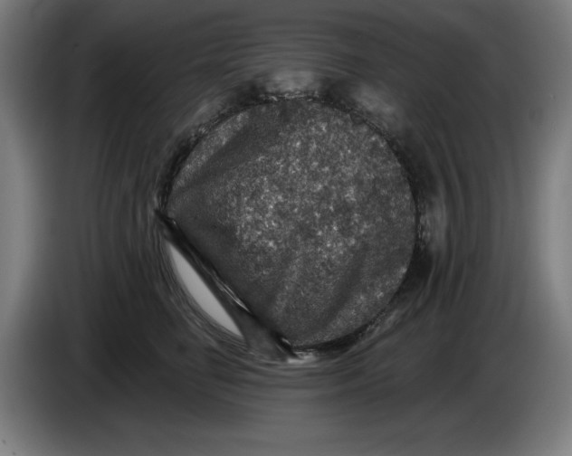 X0000085260662200703301834