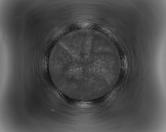 X0000085260664200703301834