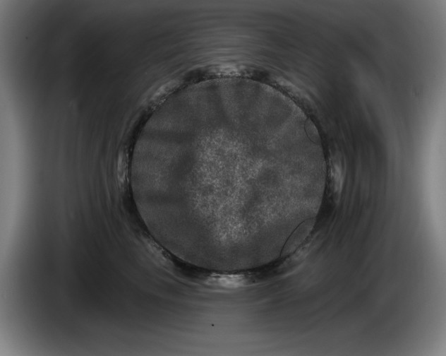 X0000085260665200703301834