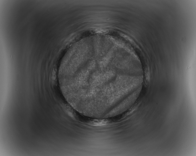 X0000085260667200703301834