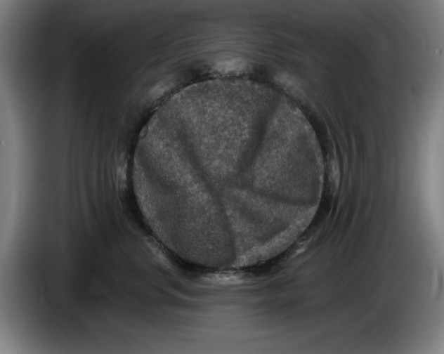 X0000085260668200703301834