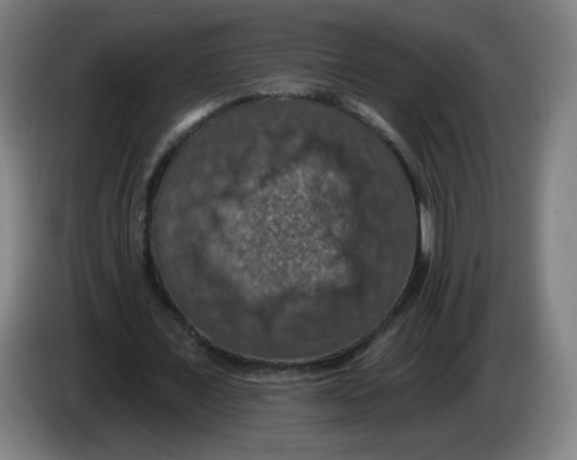 X0000085260675200703301833