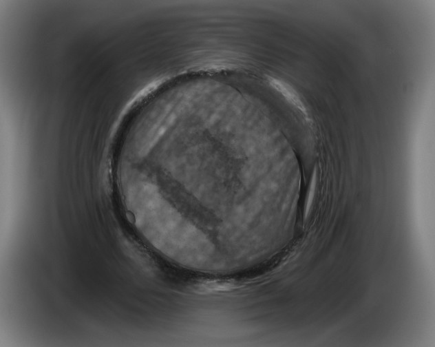 X0000085260680200703301833