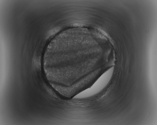 X0000085260681200703301833