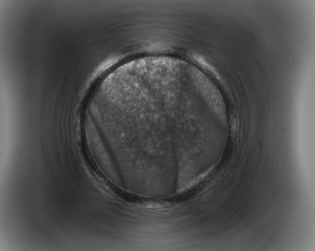 X0000085260684200703301833