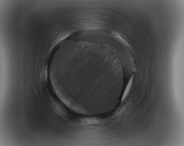 X0000085260685200703301833