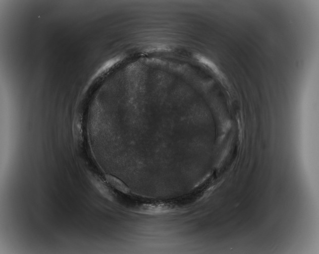 X0000085260688200703301833