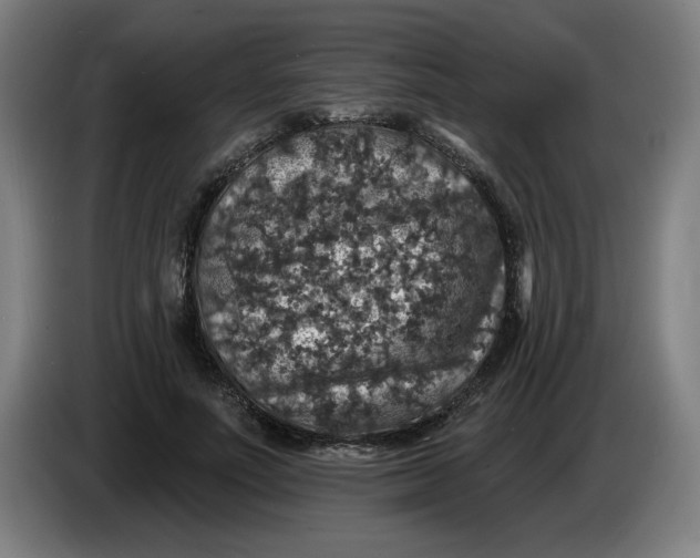 X0000085260691200703301833