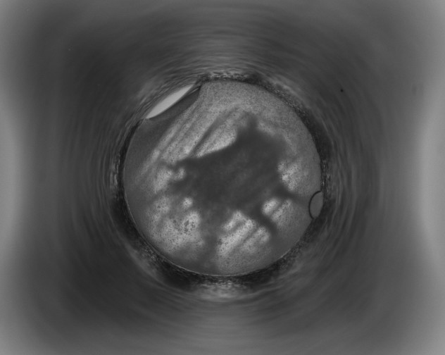 X0000085260695200703301833