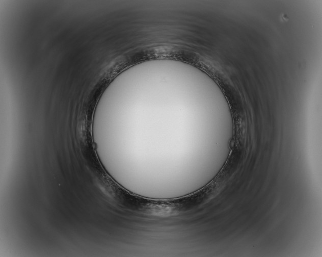 X0000085260698200703301833