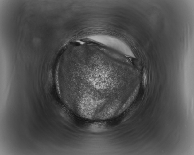 X0000085260700200703301833