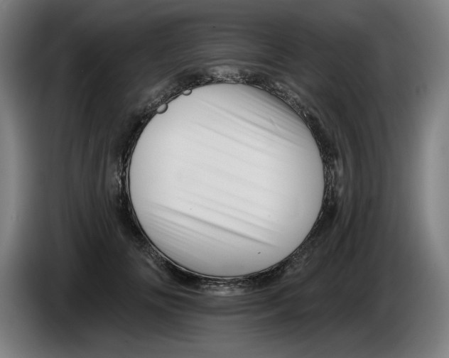 X0000085260702200703301833