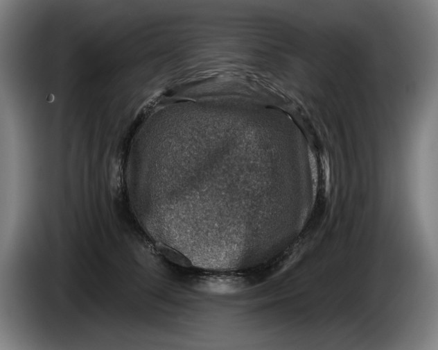 X0000085260708200703301833