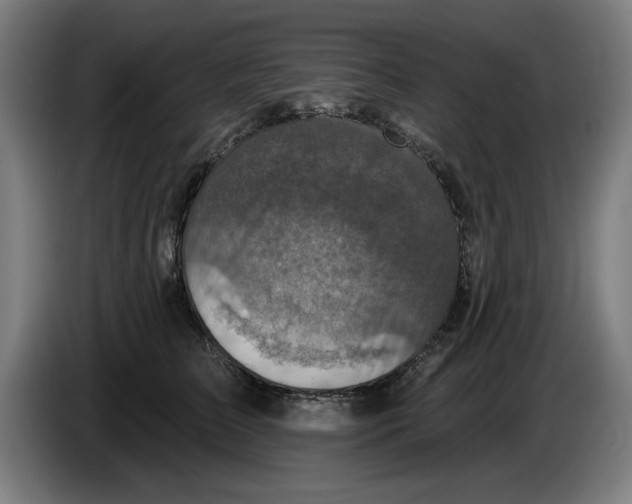 X0000085260709200703301833