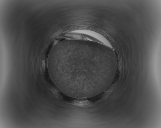 X0000085260716200703301832