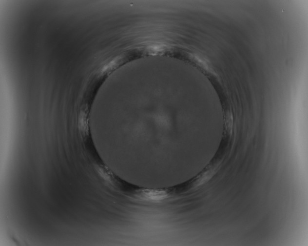 X0000085260719200703301832