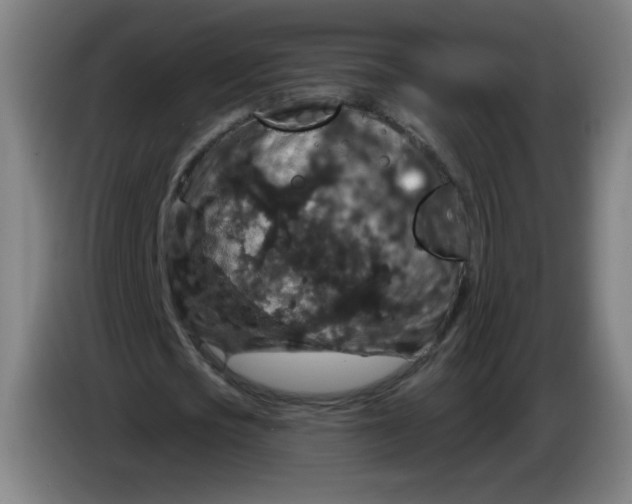 X0000085260721200703301832