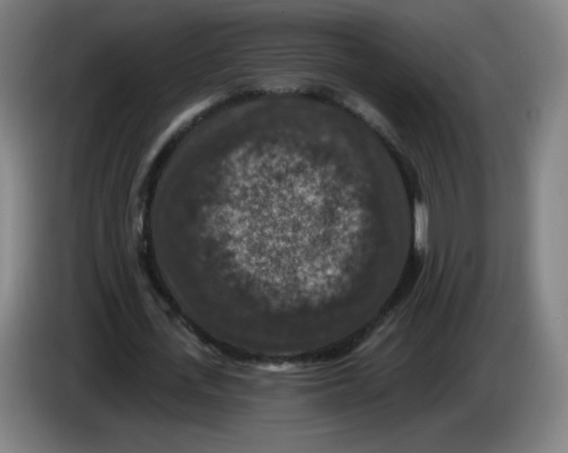 X0000085260723200703301832