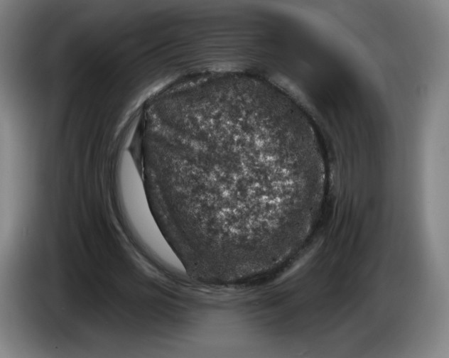 X0000085260725200703301832