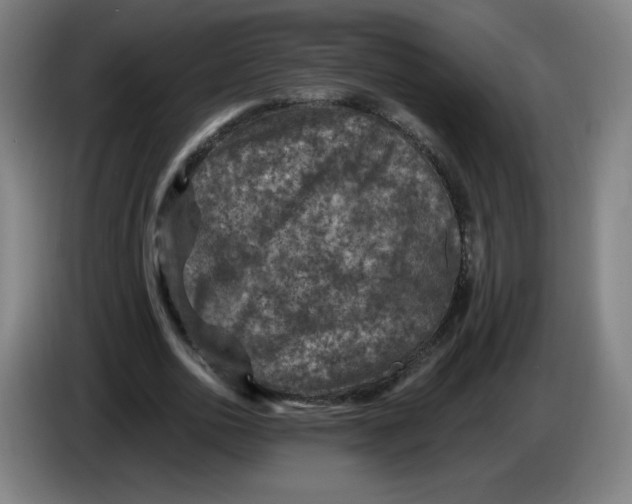 X0000085260726200703301832