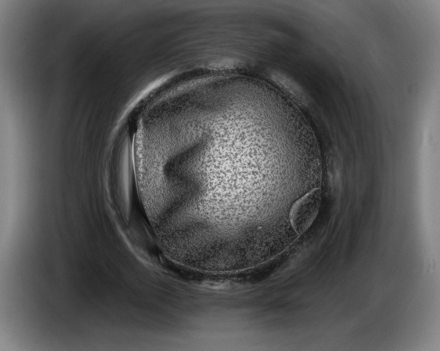 X0000085260728200703301832