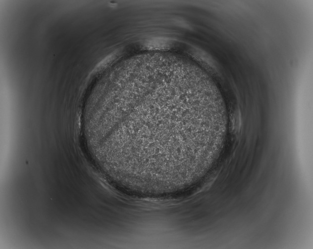 X0000085260733200703301832