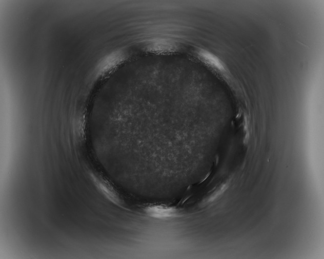 X0000085260735200703301832