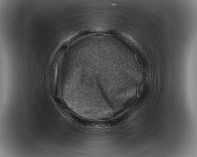 X0000085260736200703301832