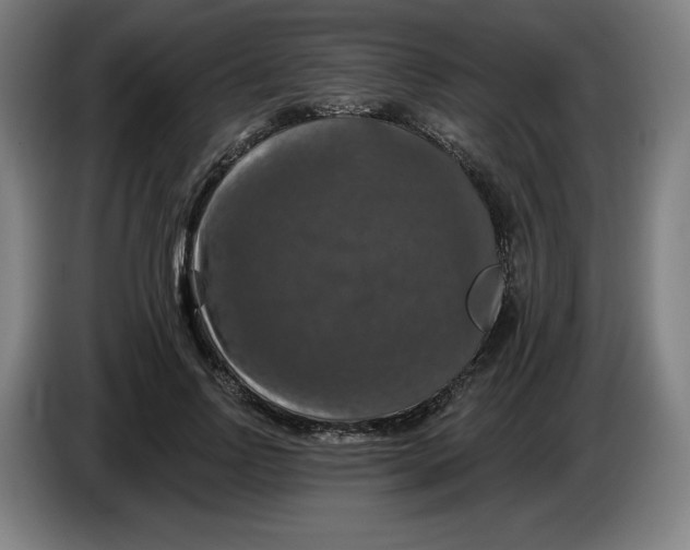 X0000085260742200703301832