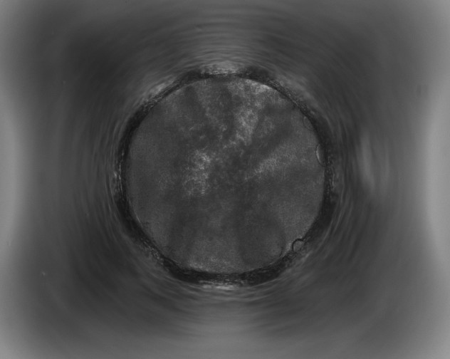 X0000085260743200703301832