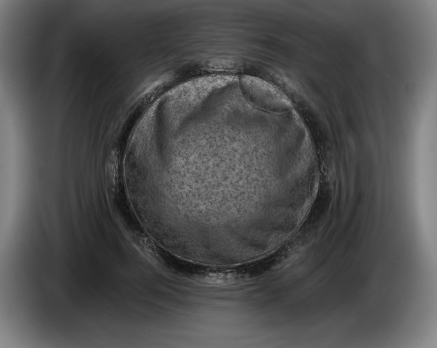 X0000085260744200703301832