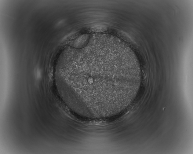 X0000085260745200703301832