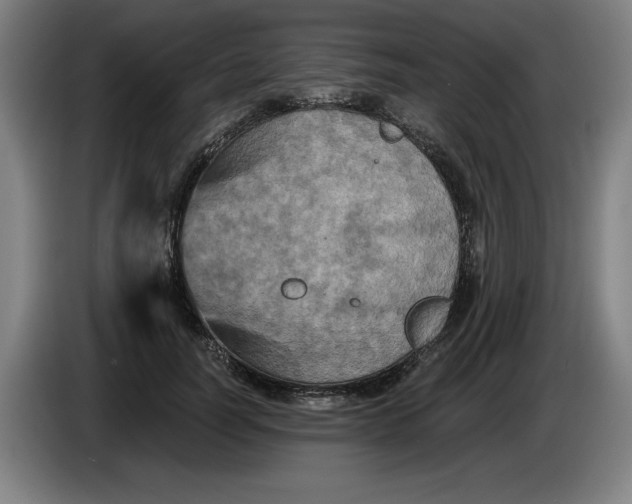 X0000085260746200703301832