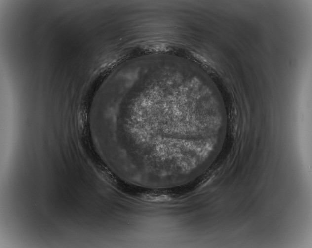 X0000085260747200703301832