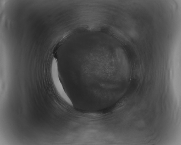 X0000085260748200703301832