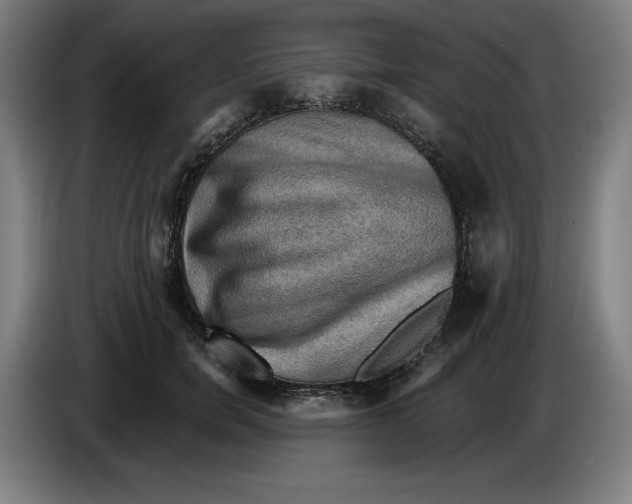 X0000085260750200703301832