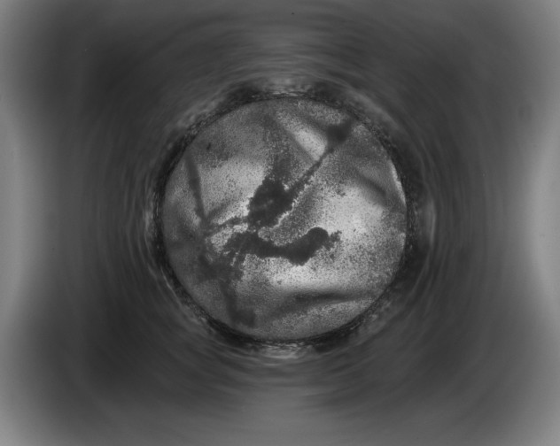 X0000085260757200703301832