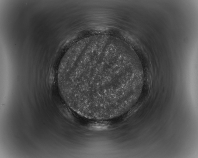 X0000085260758200703301832